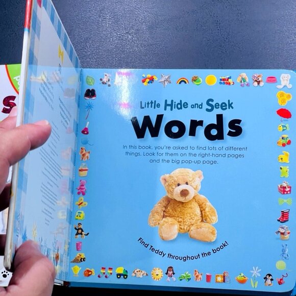 DK Little Hide And Seek Childrens Board 3 Book Set With Surprise Pop-Up - Picture 7 of 14